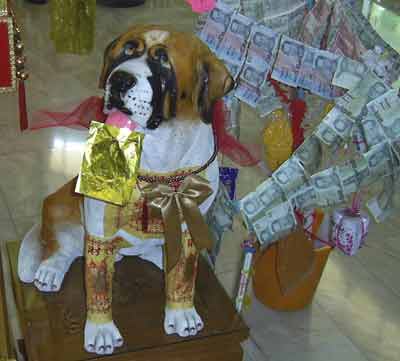 Saint bernard dans un temple Thai.