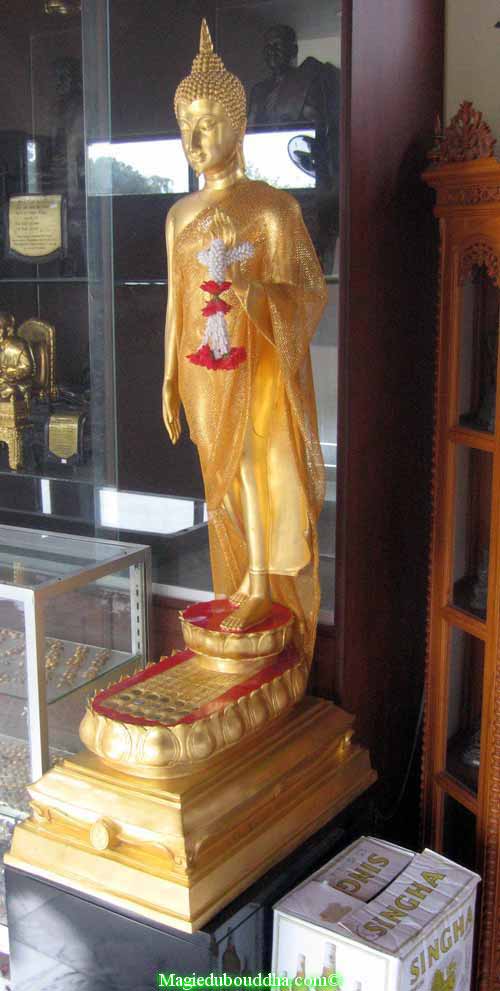 standing golden buddha