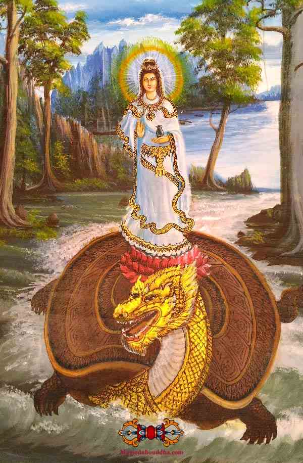 Guan yin et la tortue.