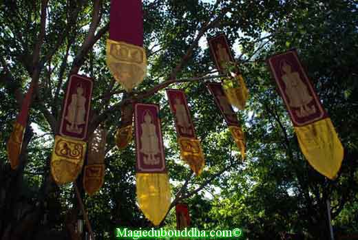 Bannières du Bouddha à Chiang Mai.