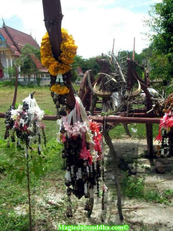 chariot aux esprits