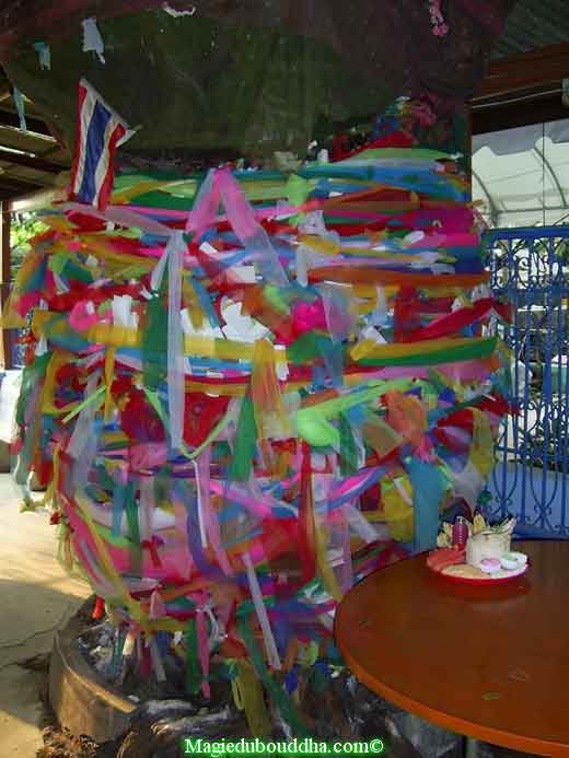 Offrandes a un arbre sacré dans un temple de Thailande.
