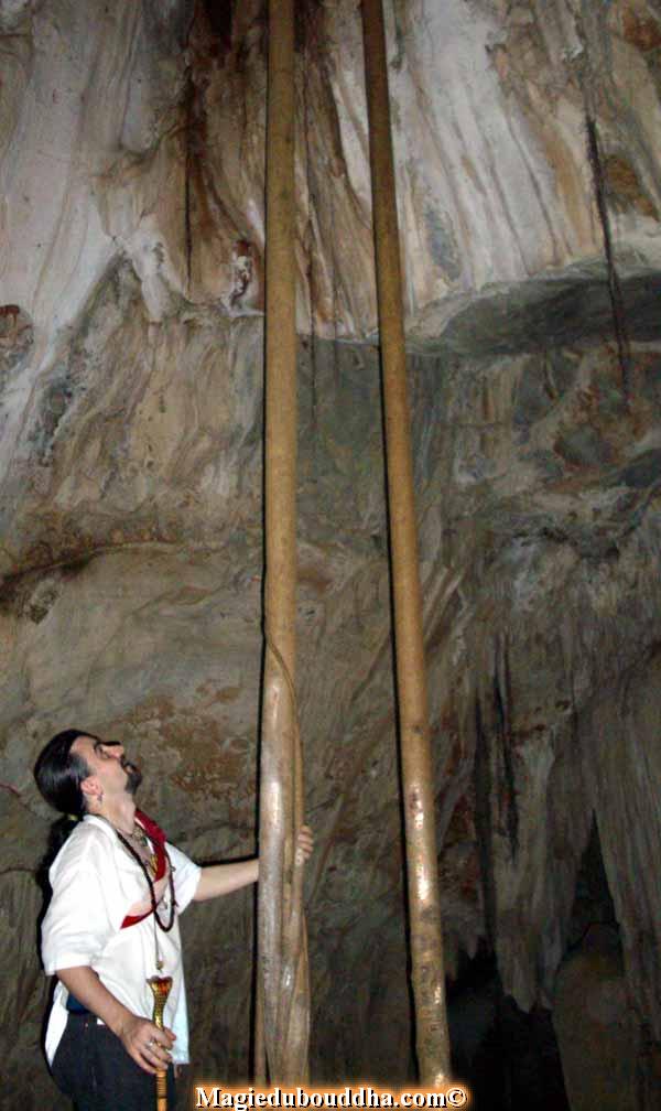 Tree roots in the lek lai cave.