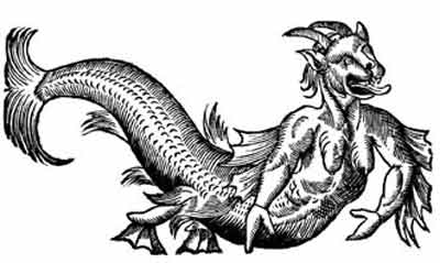 diable de mer