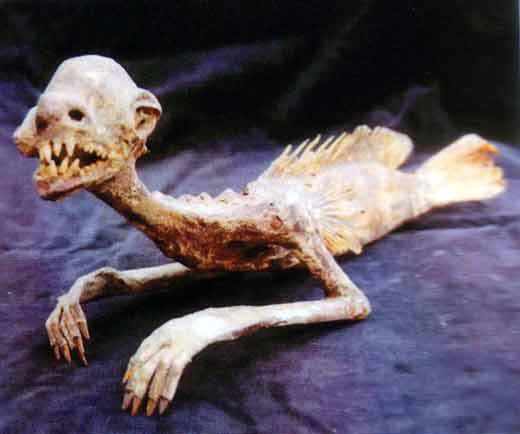 japanese mermaid