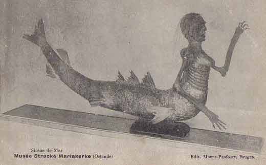 sirène du musée stracké