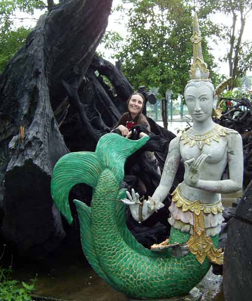 wat cheddi hoi