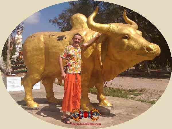 kwai tanoo thong