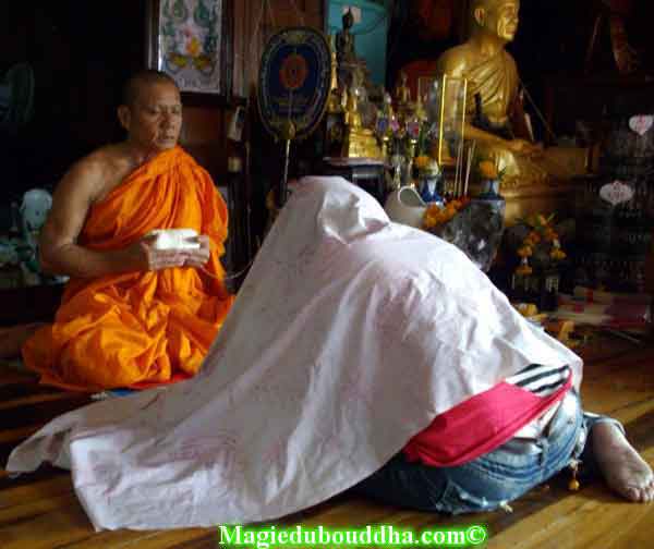 Linceuil de thailande.