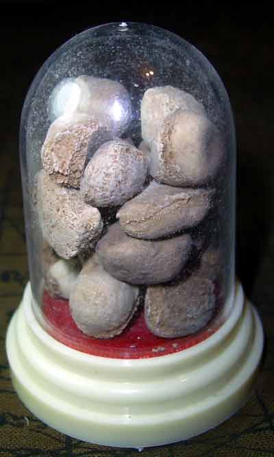 Reliques du Bouddha.