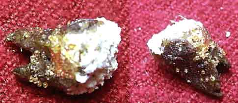 Relique de luang phor dooh.