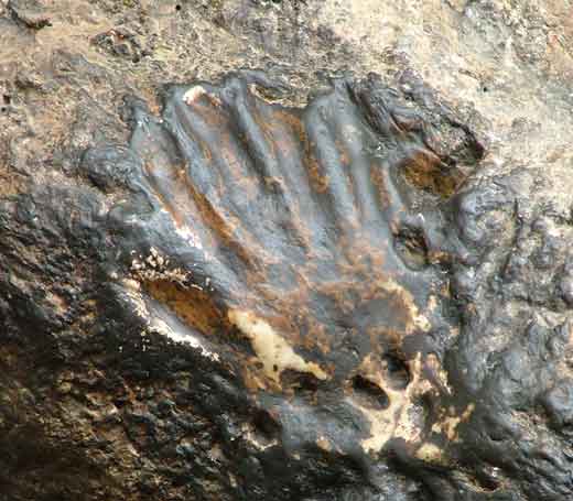 empreinte de gourou Rimpotché