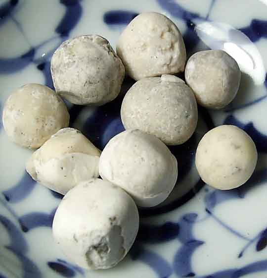perles reliques du Bouddha.