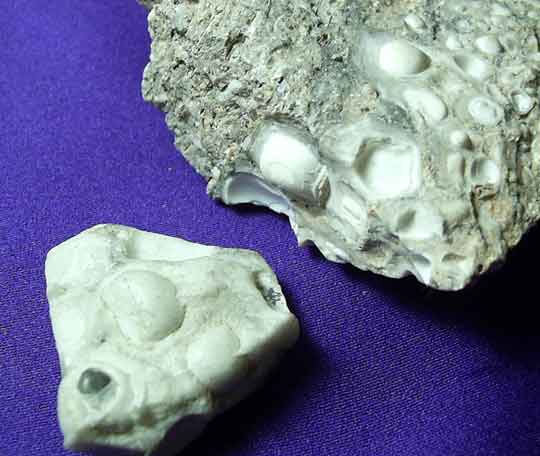 pierres reliques du Bouddha.