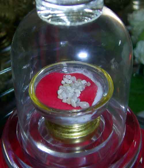 relique du Bouddha au Wat Soi Thong.