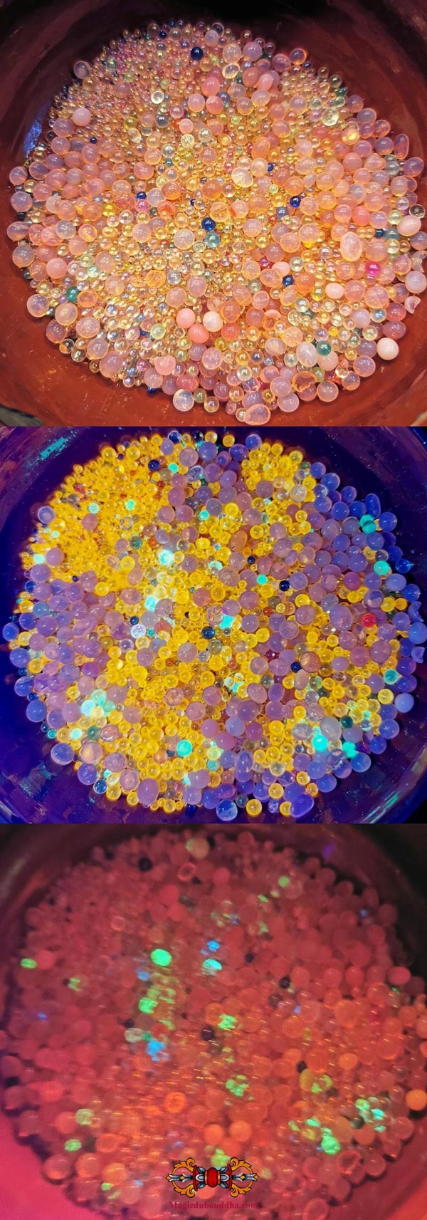 Reliques bouddha ringsel sarira