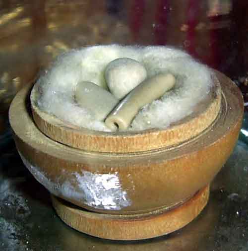 reliques du Bouddha au Wat soi Thong.