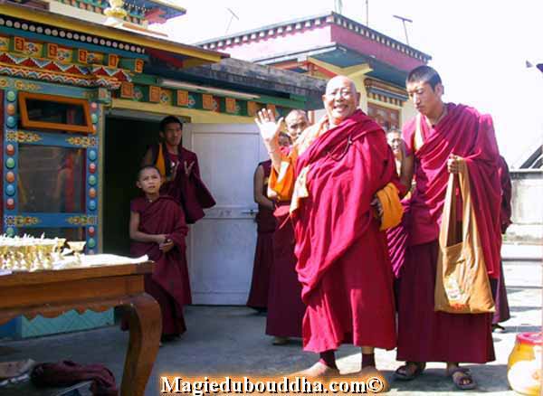 lama tséring wangdu
