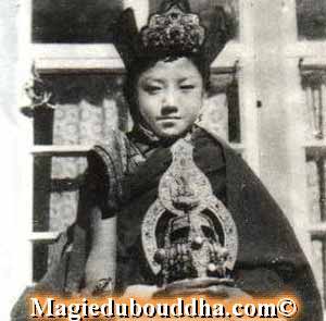 sakya trizin jeune
