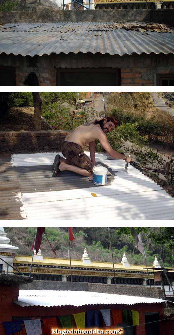 roof renovation at yogi place