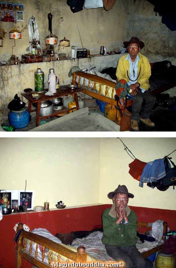 inside yogi house