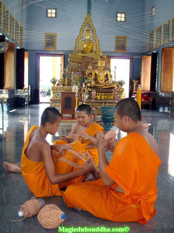 Jeunes moines thai.