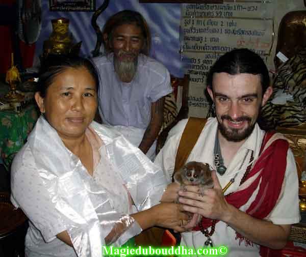 lémurien et lersi tafai