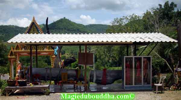 Tronc de bois magique dans un temple de thailande.