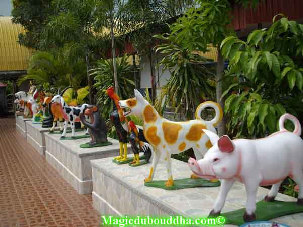 animaux du zodiaque chinois.