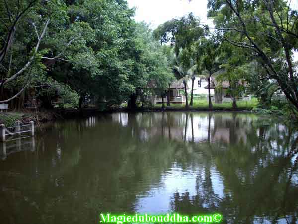 Bassin du wat cheng nok.