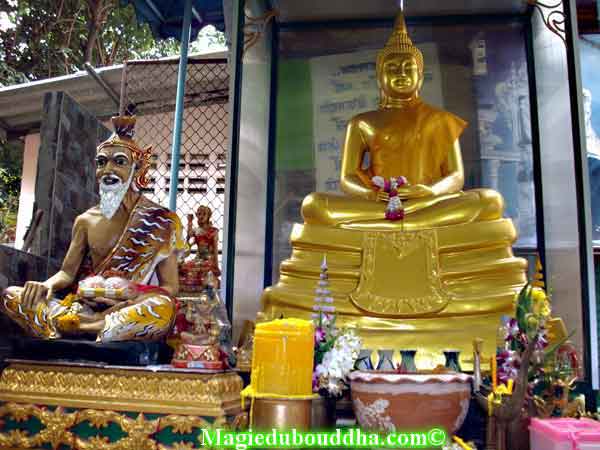 Bouddha et lersi dans un temple thai.
