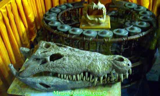 Cranes de crocodiles dans un temple thai.