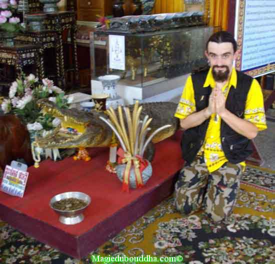 Le crocodile sacré du wat klang bang phra.