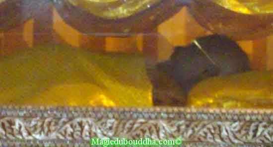 La momie de luang phor puth.