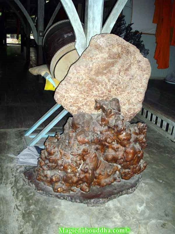 Bois magique dans un temple de thailande.