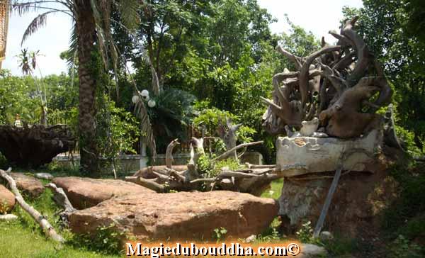 Dans le parc du wat dan kwien.