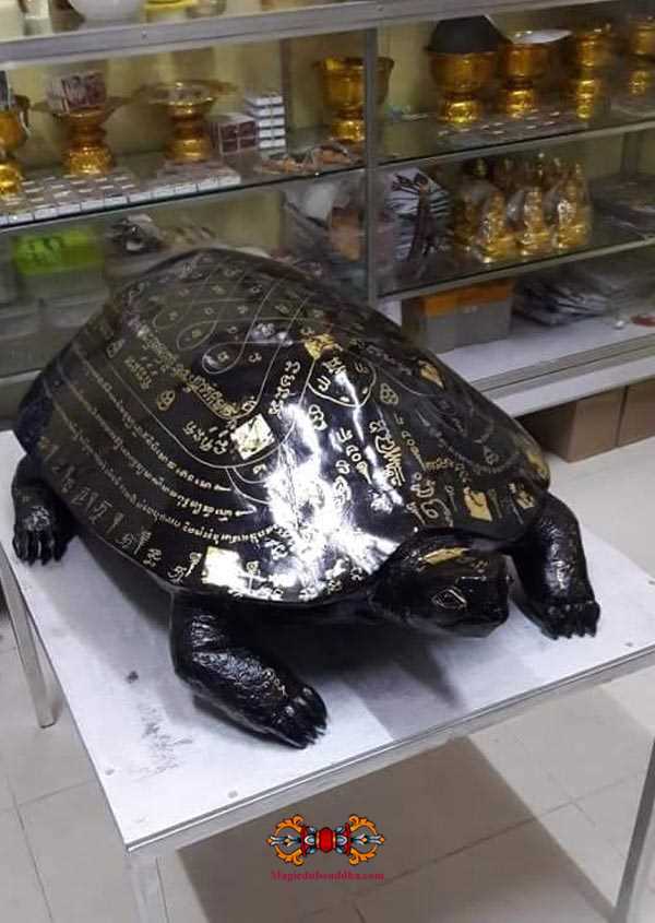 tortue magique thai chez luang phor thongpoon.