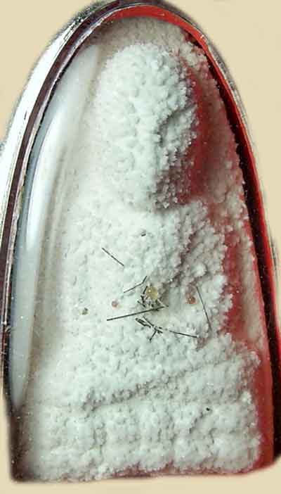 Amulette Thai miraculeuse.