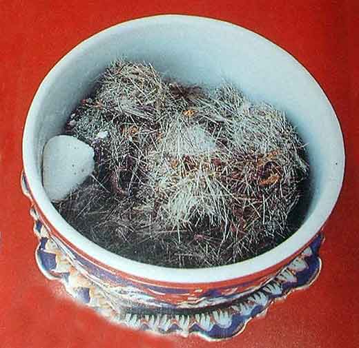 Reliques de luang phor dooh.