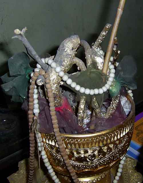 Bois magiques de luang phor lippan.