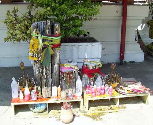 troncs de bois sacré mae takian thong.