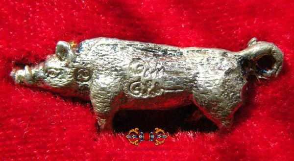 Amulette thai porc sauvage.