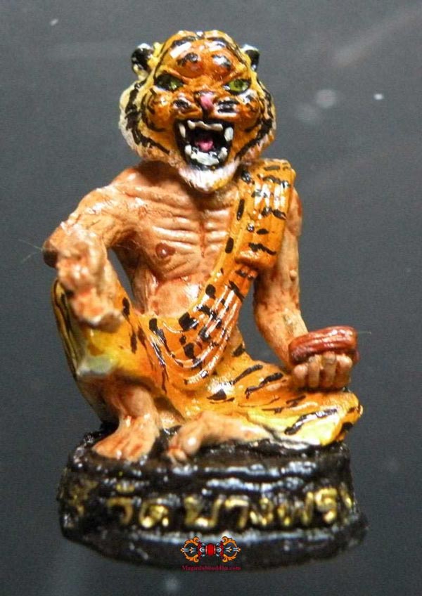 lersi à face de tigre