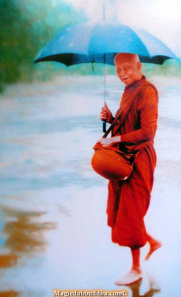 Moine thai avec son parapluie - Luangta mahabua.
