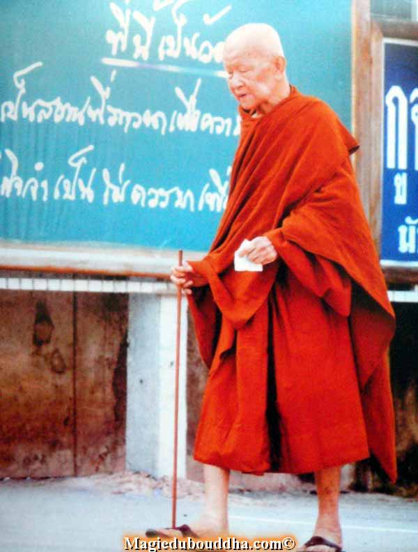 Luangta Maha Bua.