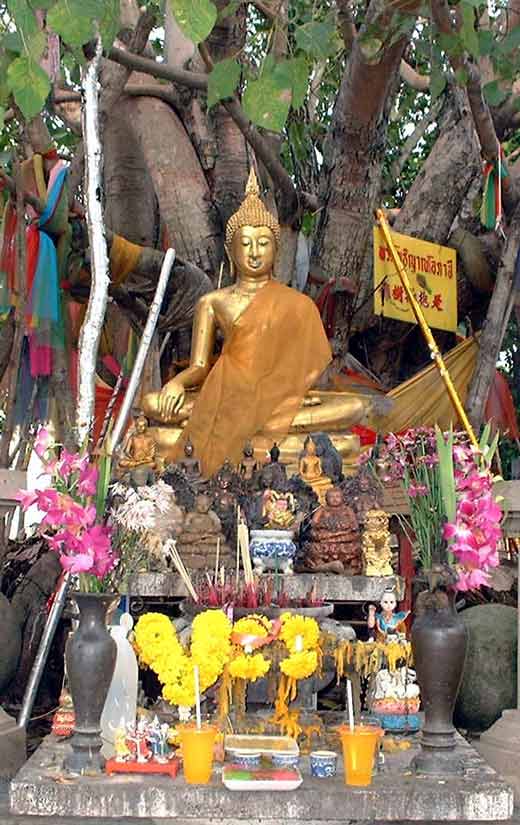 Bouddha en thaïlande.