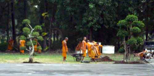 Moines thai au travail.