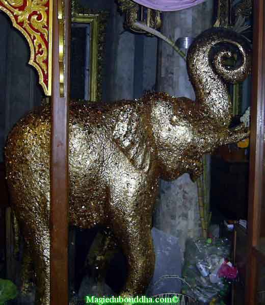 éléphant wat paknam